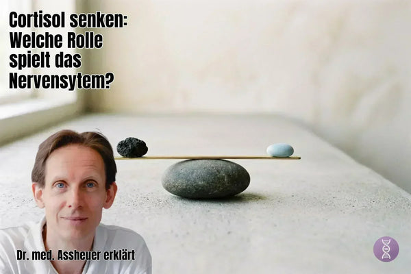 Cortisol senken: Welche Rolle spielt das Nervensystem?