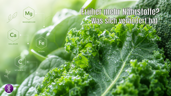 Hatten Lebensmittel früher mehr Nährstoffe? Was Studien zeigen