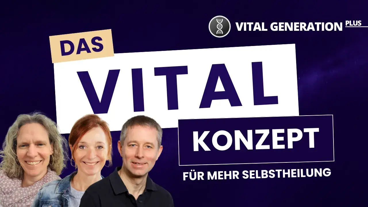 Das Vital Konzept – Dein Weg zurück zu dir